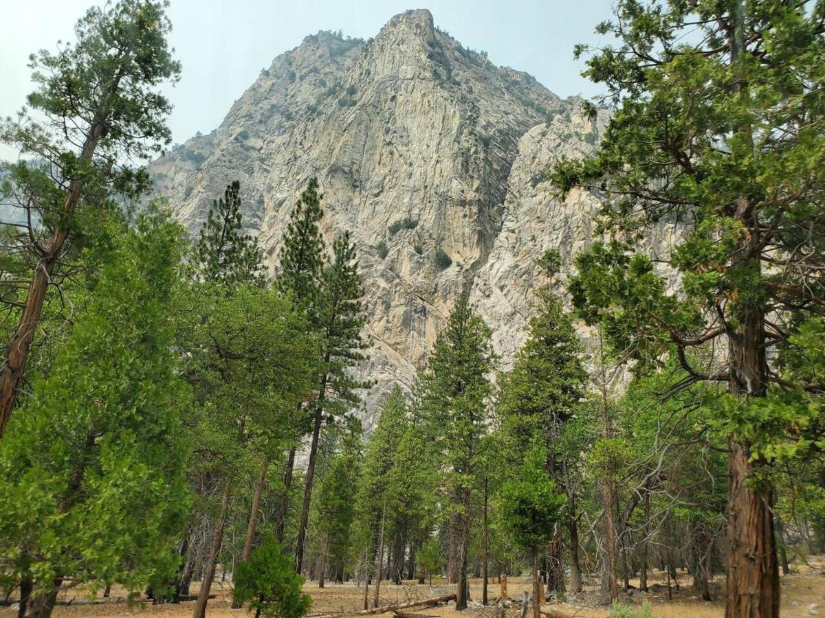 Willa Sequoia Glen Wilsonia Zewnętrze zdjęcie