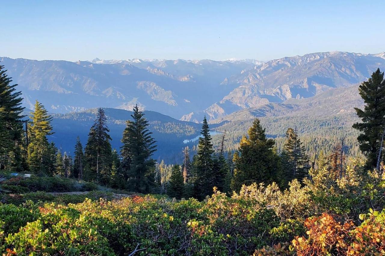 Willa Sequoia Glen Wilsonia Zewnętrze zdjęcie